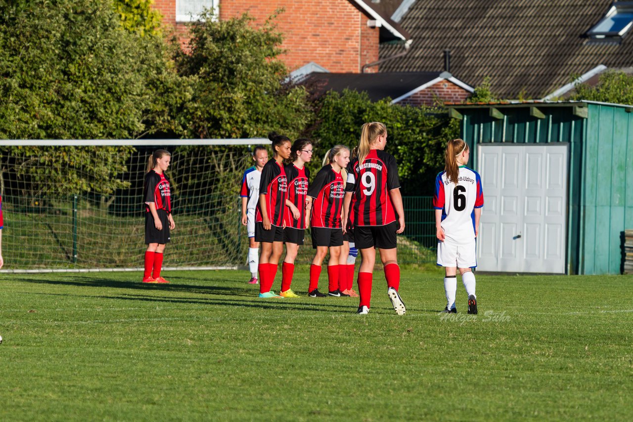 Bild 223 - B-Juniorinnen SG Wilstermarsch - SV Henstedt Ulzburg : Ergebnis: 5:1